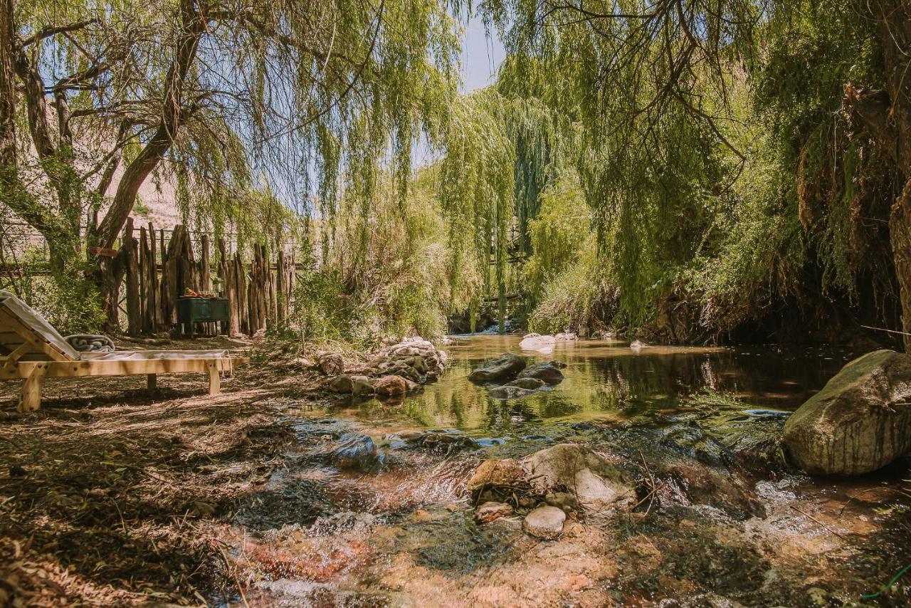 Hotel Vivelo Elqui Landscape Horcón Dış mekan fotoğraf